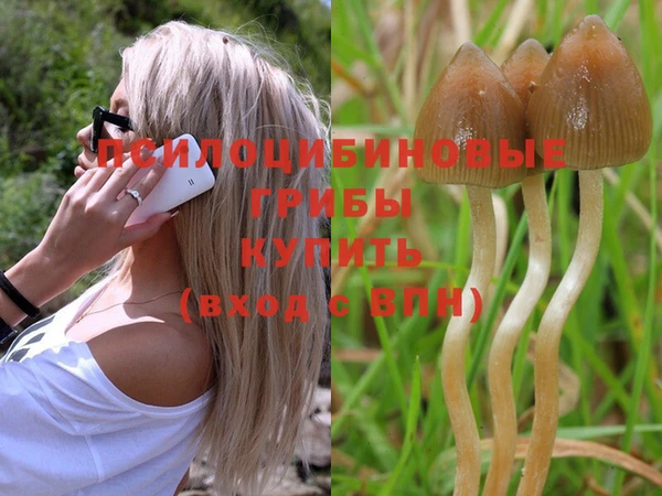 apvp Абдулино