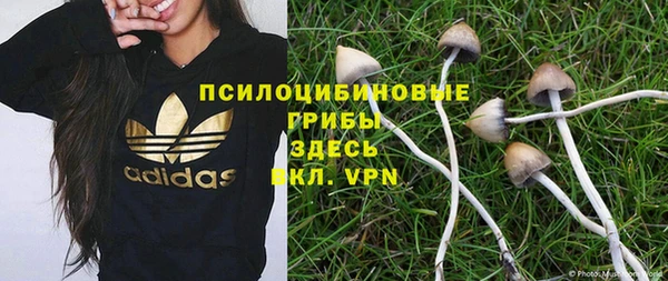 твердый Абаза
