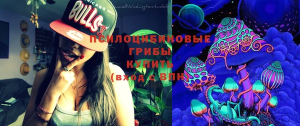 крисы Алзамай