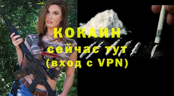 твердый Абаза