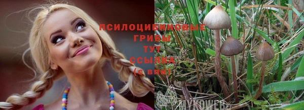 твердый Абаза
