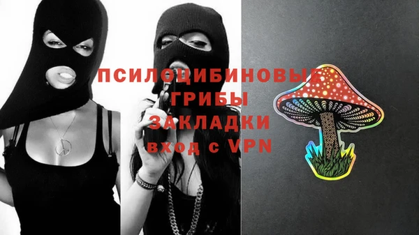 твердый Абаза