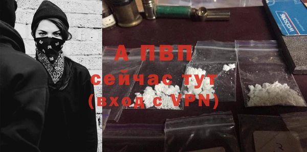 твердый Абаза