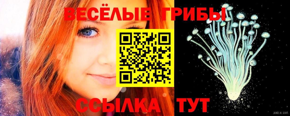 Галлюциногенные грибы мухоморы Ирбит