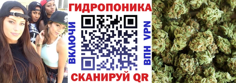 OMG зеркало  Ирбит  Канабис VHQ 